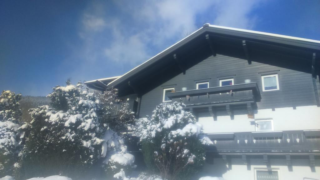 Apartmán Emma Bramberg am Wildkogel Exteriér fotografie